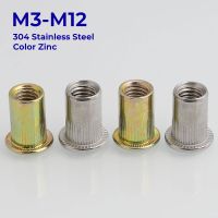 M3 M4 M5 M6 M8 M10 M12 304 Stainless Steel Color Zinc Carbon Steel Flat Head Blind Rivet Nut Knurled Steel Head Nutserts