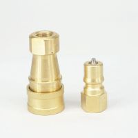 500 Bar 1/8 BSPT Female 7 Mpa Brass Quick Disconnect Coupler Set For Truck Mount Portable Carpet Cleaning