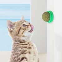 New 360° Rotation Natural Catnip Pet Roducts Cat Chewing Toy Accessories Kitten Edible Treating Cleaning Teeth Teasing Supplies Toys