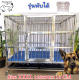 กรงสุนัขสแตนเลส แบบพับ (แบบท่อกลม) กรงสุนัข Stainless Steel cage ขนาด กว้าง 125 cm ลึก 90 cm สูง 110 cm พร้อมแผ่นสแลทรองกรง รอยเชื่อมเต็ม คุณภาพ 100%