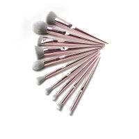 WNW Pro Brush Line Brush Bundle - 10-pieces Brush set with Pouch - Pink Cute Ultra-Soft Synthetic Hair Brush Kit (No Logo)