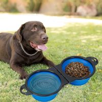 Foldable Portable Dog Double Bowl 2 In 1 pet feeder drinking dog bowls for dog outdoor travel cat dog feeding bowl Slow Food