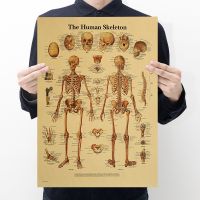 【H188】 The New Human Body Interpretation Picture-Skeleton Vintage Kraft Paper Series Bar Cafe Decorative Painting