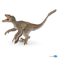 Papo : PPO55055* โมเดลไดโนเสาร์ Feathered velociraptor