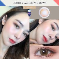 คอนแทคเลนส์ Lightly Mellow Brown (Luxzy) ขนาดมินิ ?