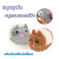 ของเล่นแมว ช็อก หนูไขลาน ของเล่นสัตว์เลี้ยง ของเล่นไขลาน ของเล่นสำหรับแมว แมวชอบเล่น หนูจำลอง