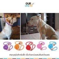 สายจูง สำหรับฝึก เย็บด้วยหนังผสมเส้นสะท้อนแสง