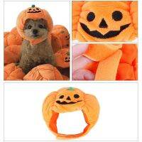 ZZOOI Funny Halloween Props Plush Pumpkin Hats for Teddy Pomeranian French Halloween  Pumpkin Caps Pet Dog Hats Pet Costume