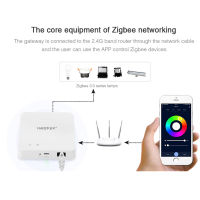 Mier Zigbee 3.0เกตเวย์แบบมีสาย ZB-2 WiFi Smart Controller รองรับการควบคุมแอปเสียงการอัพเกรดออนไลน์