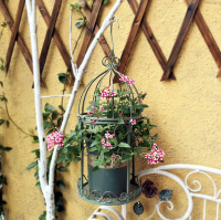 【จัดส่งภายใน 24 ชม】▶️Outdoor old iron flower basket garden hanging potted chlorophytum comosum balcony flower pot fishing hanging basket