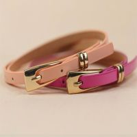 CABEZA Cortical Belt Simple Skinny Waist Skirt Accessories Candy Color Leather Straps Multicolor Alloy ThinMulticolor