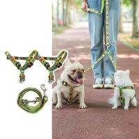 【CW】 double-end traction cute printed dog chain dogs Outgoing walking supplies Anti-wrap removable Big