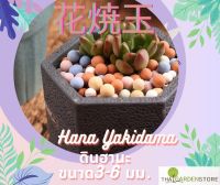 ดินเผาปั้นเม็ดญี่ปุ่น  Hana Yakidama 花焼玉 ขนาด3-6มิล สีพาสเทลคละสี