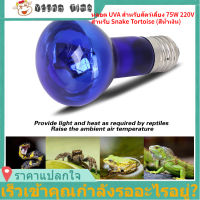 【ลดมากกว่า50%】เซรามิค 75W 220V สัตว์เลี้ยงสัตว์เลื้อยคลาน Reptiles Heating Lamp Day Night Amphibians UVA โคมไฟความร้อนความร้อนหลอดไฟสำหรับงูเต่า