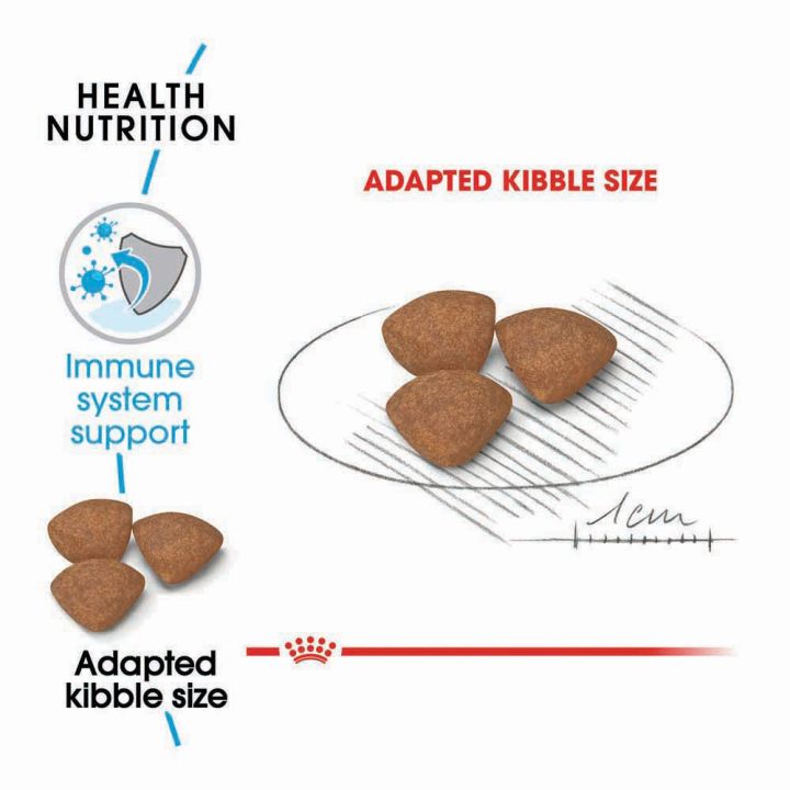 อาหารลูกสุนัข-รอยัลคานิน-สำหรับลูกสุนัขพันธุ์เล็ก-2-10-เดือน-8กก-royal-canin-mini-puppy-for-small-breed-puppies-8kg