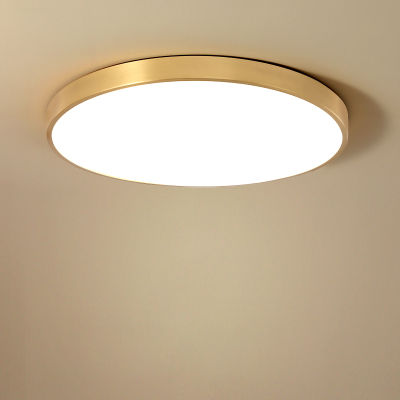 Ultra-thin LED ceiling lamp gold lamp surface installation living room bedroom remote home decoration lighting