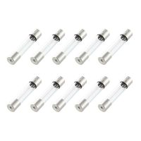 10 Pcs Fast Blow Type Glass Tube Fuses 6x30mm 250V 10A