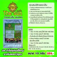 The sun Amino