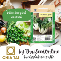 CTF1 เมล็ดพันธุ์ บ็อกฉอย ตราเจียไต๋ มินิบ็อกฉ่อย จูเนียร์ Mini Bokchoy