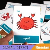 13Pcs Russian Sea Animals Educativos Prepositions Learn English Puzzles Montessori Cognitive Card Puzzle Toys for Children Gifts Flash Cards Flash Car