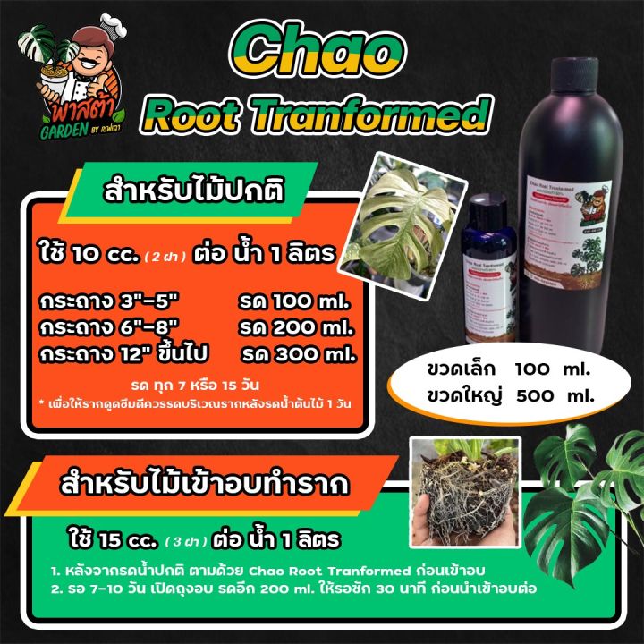 chaoroot-น้ำยาเร่งราก-chao-root-tranformed-ออกานิค100-น้ำยาบำรุงราก-น้ำยาเร่งรากเชฟเฉา-เร่งรากไม้ด่าง-น้ำยาระเบิดราก-เร่งรากต้นไม้