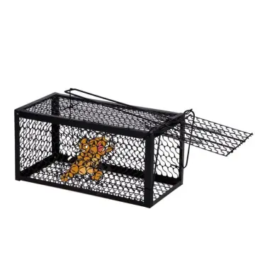 Buy Rat Trap, Humane Mouse Trap, Upgraded Thicken Steel Catch and Release  Rodent Trap- High Sensitivity Smart Rodent Rat Bait Trap, Easy to Clean and  Reusable Mouse Trap for Indoor and Outdoor