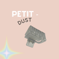 PETIT - Dust