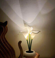 Creative Art Design Calla Lily Night Light LED ประหยัดพลังงาน Home Deco โคมไฟตั้งโต๊ะแฟชั่นบรรยากาศโรแมนติก Light