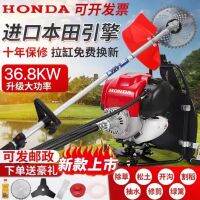 ✘△▽ GX35 high-power four-stroke lawn mower knapsack weeding rice machine multi-function forest scarification