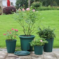 Plastic Plant Nursery Pot Garden Glowing Pots Transplant Flower Seedling Pots Tray 12/15/18 New High Quality Support Wholesale