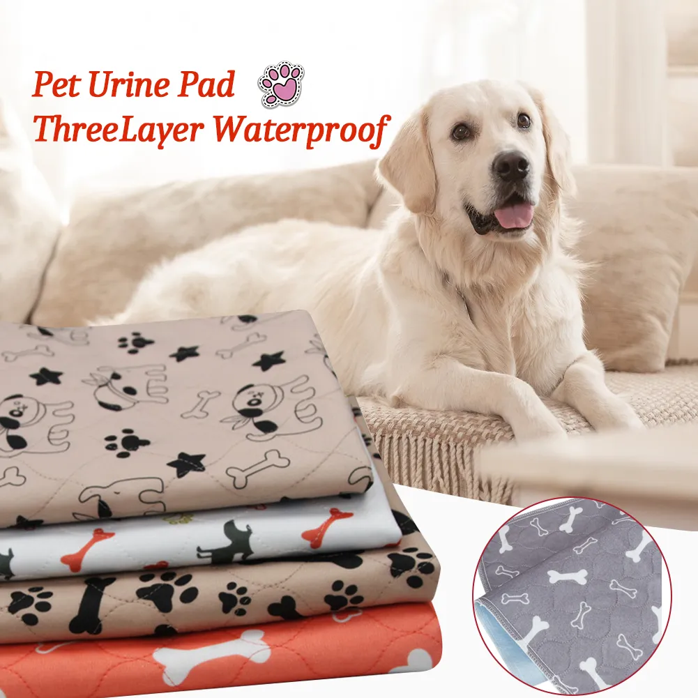 How Do You Get Dog Urine Out Of Couch Cushions