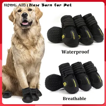 Dog clearance shoes lazada