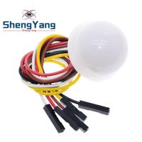 Shengyang ชิป Bh1750fvi Bh1750อิเล็กทรอนิกส์อัจฉริยะ,ความเข้มแสง MODUL Lampu ลูกบอลสำหรับ Arduino