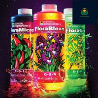 Flora Series by General Hydroponics (ปุ๋ยน้ำหลัก Gro Micro Bloom)