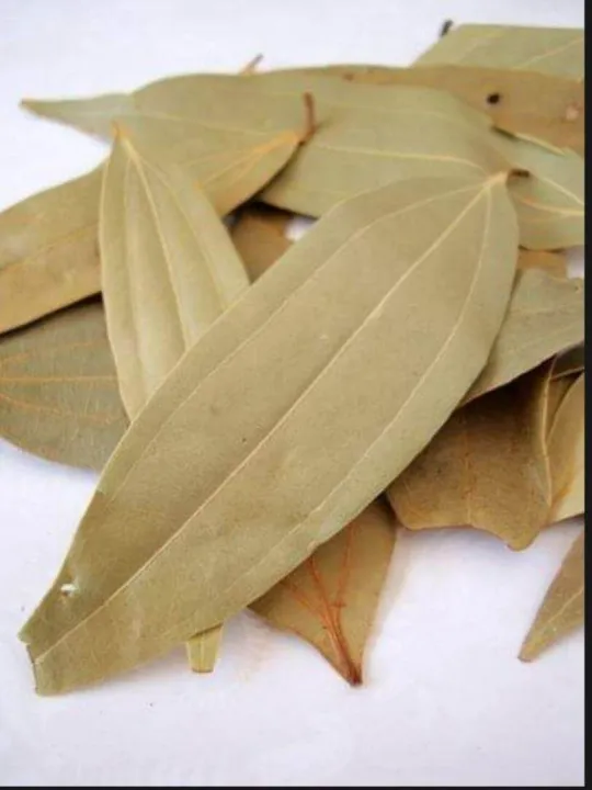 Daun Salam Arab / Bay Leaves / Daun Ghar 20 gr Lazada Indonesia