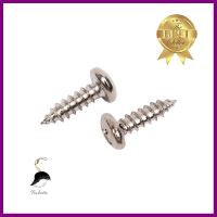 สกรูเกลียวปล่อย TP DEXZON 7X1/2 นิ้ว 30 ตัวSELF-TAPPING SCREW TP DEXZON 7X1/2IN 30PCS **มีบริการชำระเงินปลายทาง**