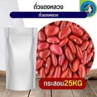 สุดยอด ถั่วแดงหลวง red kidney beans อาหารนก กระต่าย หนู กระต่าย กระรอก ชูก้า และสัตว์ฟันแทะ (กระสอบ 25KG)