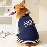 [COD] and winter special style cool sports sweater for medium-sized dogs two-legged spring casual pet clothes