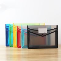 【CC】 Transparent File Folder Document Holder Large Capacity Storage School Test Paper