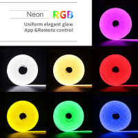 12โวลต์ RGB LED แสงนีออนแถบ F LEX 6x12มิลลิเมตร Tuya WiFi บลูทูธเข้ากันได้การควบคุมระยะไกลซิลิโคนไฟหรี่แสงได้กันน้ำ decord