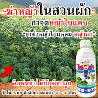 ?สูตรเข้มข้น?ฆ่าหญ้า ใบแหลมใบแคบ 500 cc. ฉีดพ่นทับพืชผักได้ปลอดภัย แปลงพริก พืชผักสวนครัว ไร่มันสำปะหลัง  500 cc. กำจัดหญ้าใบแคบ ใบแหลม ฉีดทับ แตงกวา กำจัดหญ้าผัก กำจัดหญ้า กำจัดหญ้าใบแคบ ฆ่าหญ้าสับปะรด ฆ่าหญ้าไร่มันสำปะหลัง