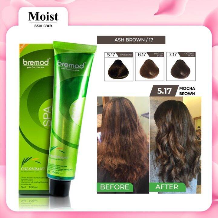 Bremod Hair Color (Chocolate Brown/17) 100ml Styling Dye Cream BRR301