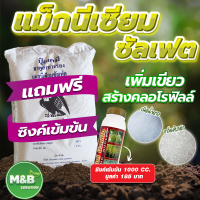 ?ฟรีซิงค์เข้มข้นทุกกระสอบ?แม็กนีเซียม ซัลเฟต (Magnesium Sulphate)(MGSO4.7H2O) ขนาด 25 กิโลกรัม