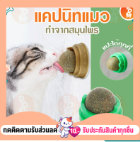 แคทนิป​ กัญชาแมว​ สมุนไพรแมวเลีย​ มีแผ่นแปะกำแพง บอลสมุนไพร​ ลูกบอลแมวเลีย ball herb ลูกอมแมว แมว สัตว์เลี้ยง