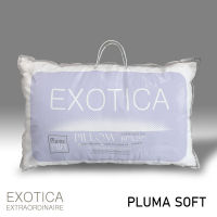 EXOTICA หมอนหนุน Pluma Soft ขนาด 19"x 29" (แพ็ค 1 ใบ) / (แพ็ค 2 ใบ)