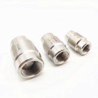 【YF】 304 Stainless Steel High Pressure One Way Valve 1/8  1/4  3/8  1/2  3/4  1  6.4Mpa Male Thread Check