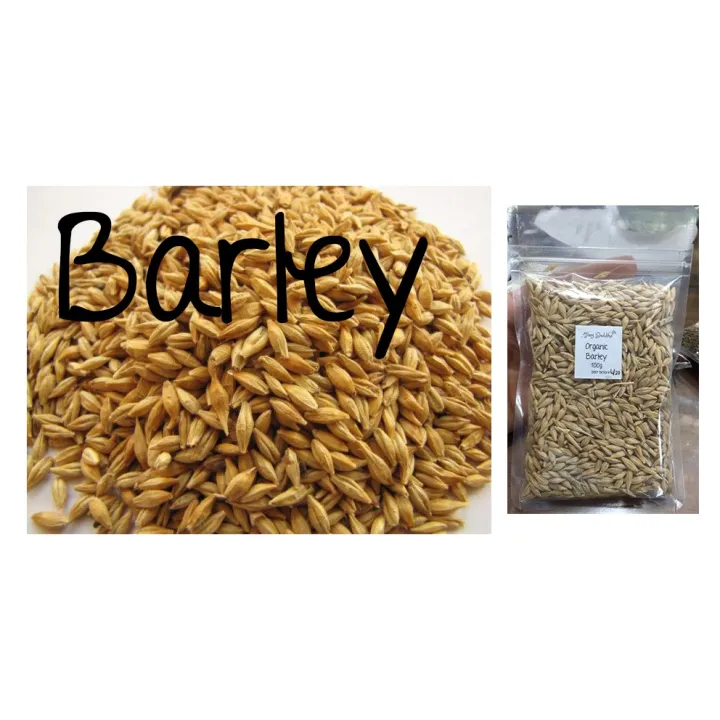 barley grains with hull organic 100g Lazada PH
