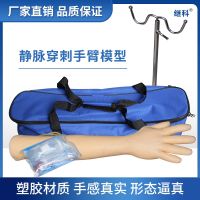 The branch vein transfusion puncture arm model teaching training special blood injections practice model