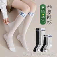 【CC】℗✸﹊  Socks Womens Medium Length Thin Cotton Insets Breathable Mesh Up Stockings Calf