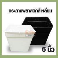 กระถาง กระถางต้นไม้ กระถางพลาสติก สี่เหลี่ยม มีขอบ ขนาด 6นิ้ว